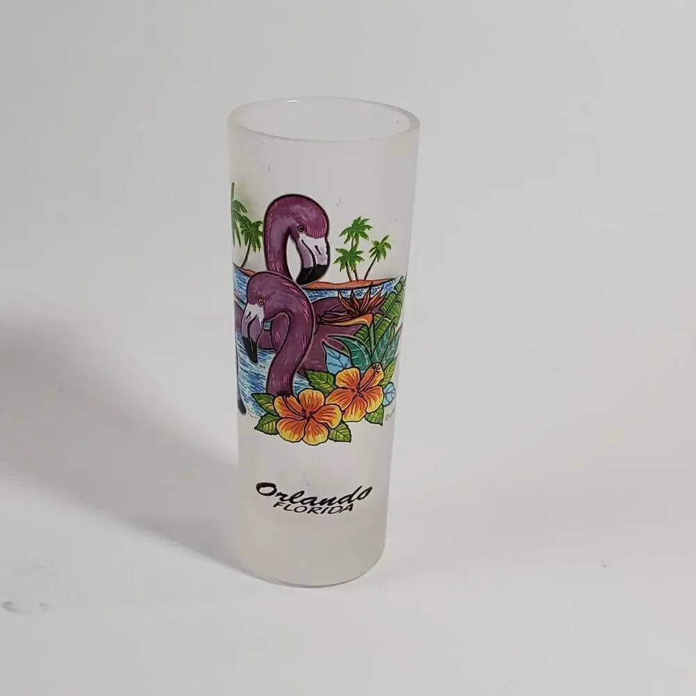Collectible Shot Glasses Orlando Florida 4